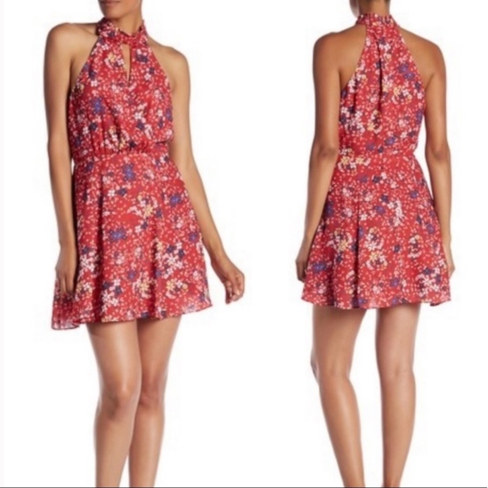 Parker Juliet Mini Dress Size Small Red Floral